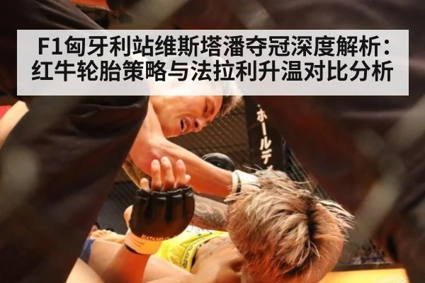 F1匈牙利站维斯塔潘夺冠深度解析：红牛轮胎策略与法拉利升温对比分析