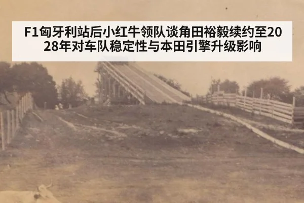 F1匈牙利站后小红牛领队谈角田裕毅续约至2028年对车队稳定性与本田引擎升级影响